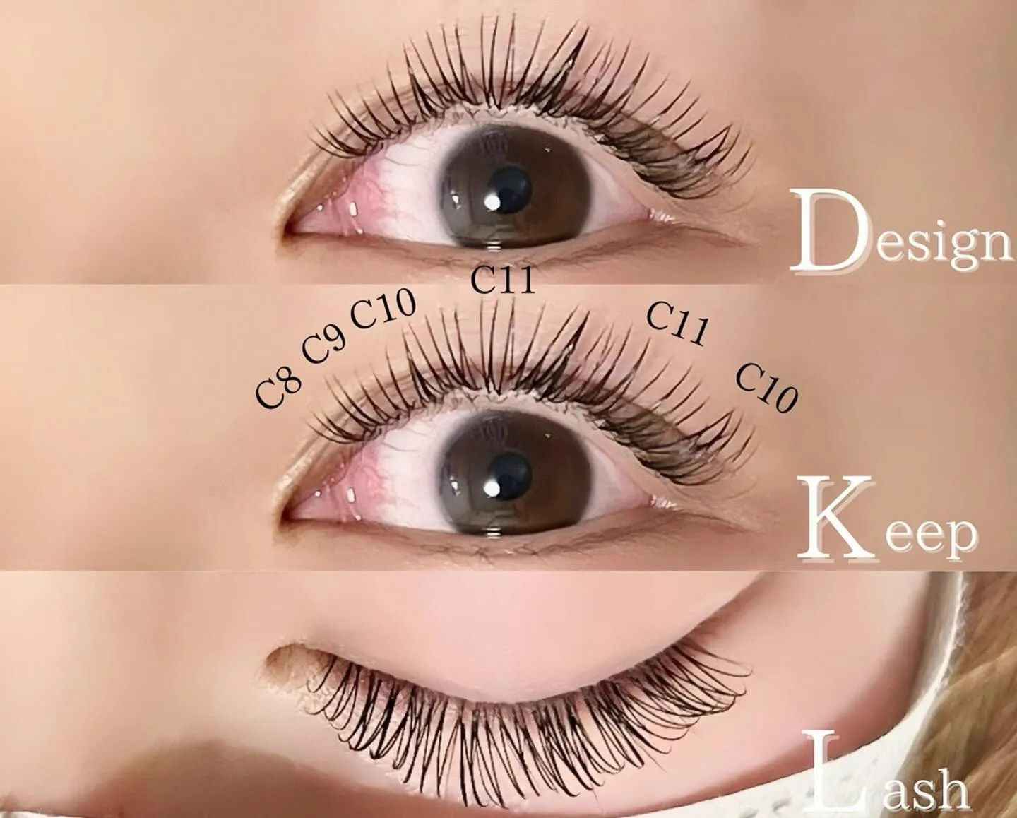 【滋賀 近江八幡 モチがいい デザインキープラッシュ】