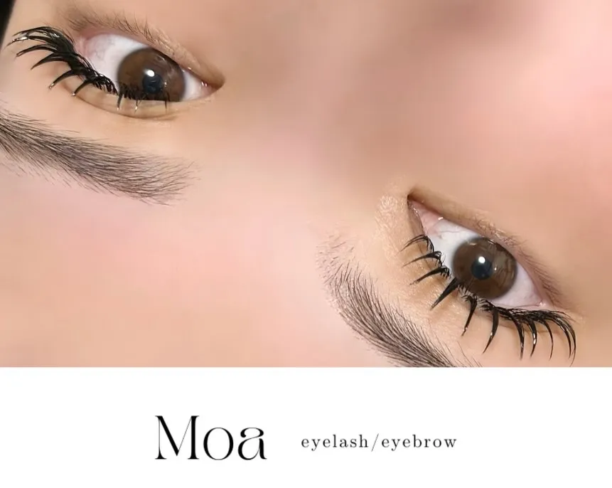 【滋賀 近江八幡 マツエク ダブルフラットラッシュ 束感 韓...